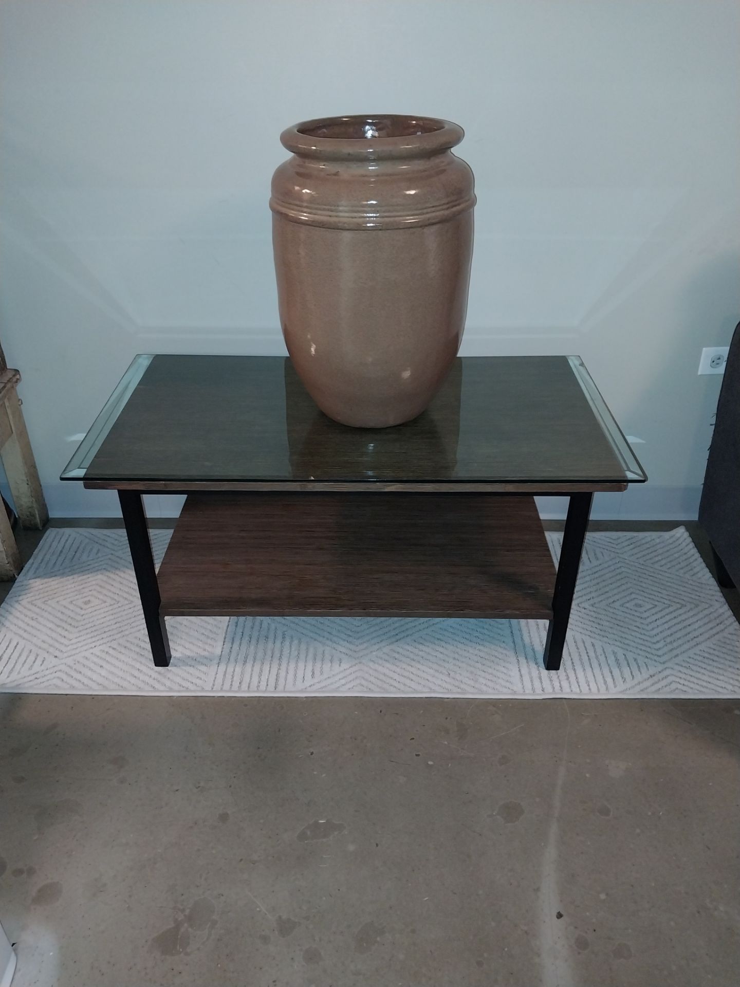 Modern Glass Coffee Table – Black Metal & Wood Shelf - photo 4