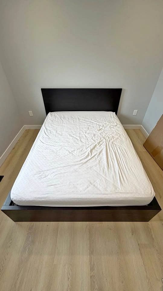 IKEA MALM Queen Bed Frame + Mattress + Extras