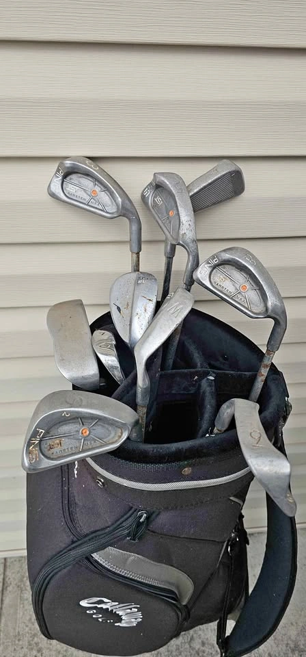 Big Bertha, Ping and Misc Golf Clubs