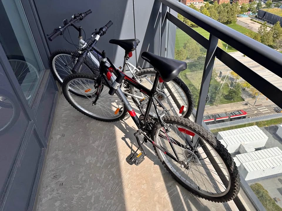 MOVING SALE! 2 Supercycles + 2 Seat cushions + bike locks
