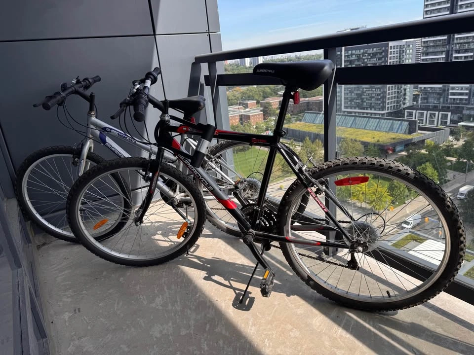 MOVING SALE! 2 Supercycles + 2 Seat cushions + bike locks - photo 2