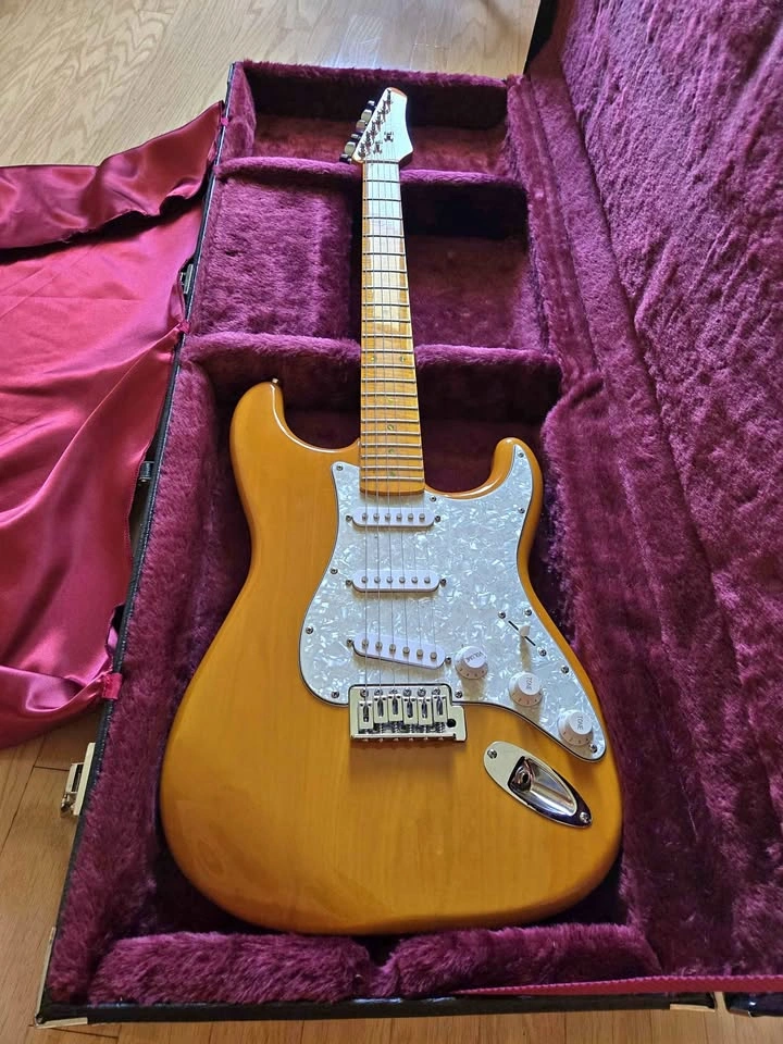 SX Vintage Series Guitar, With Case 🏈