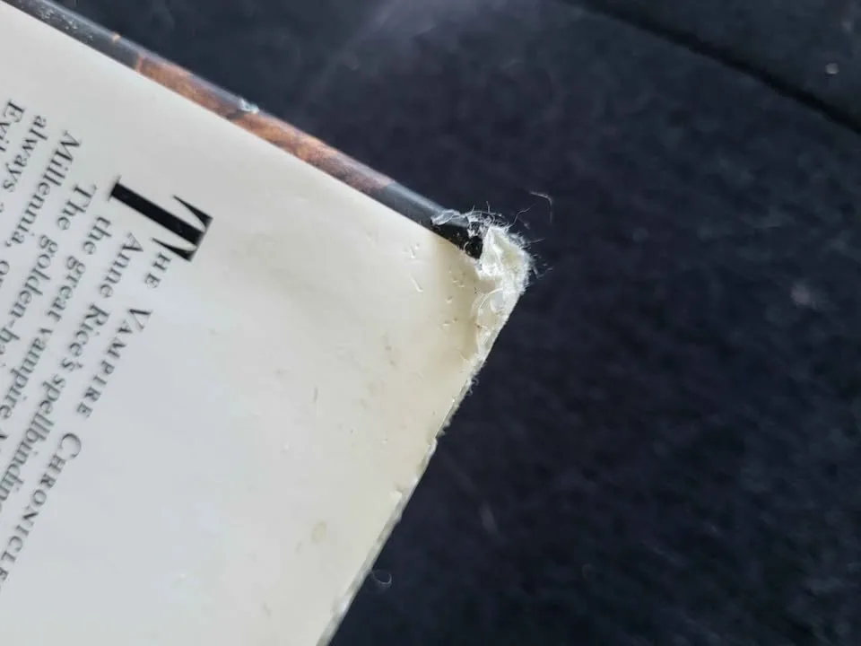 Blood And Gold - Anne Rice. First Edition image indicator(4)