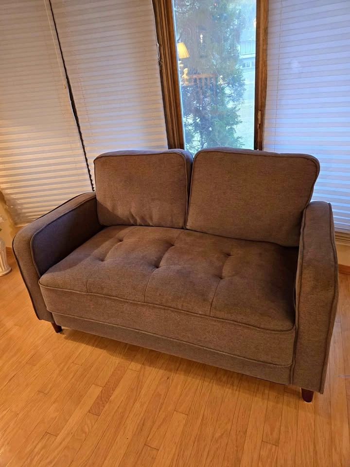 Sofa, Loveseat Couch 🏈