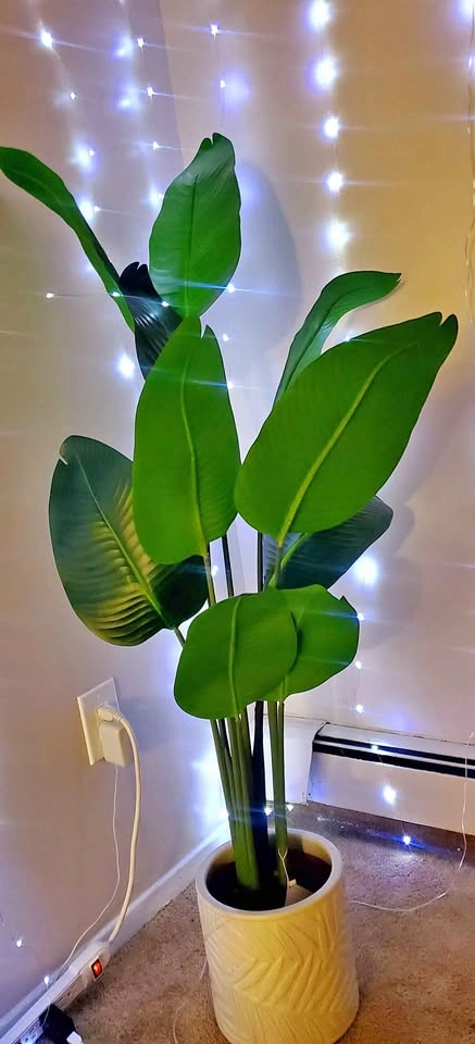 Artificiel banana plant with pot