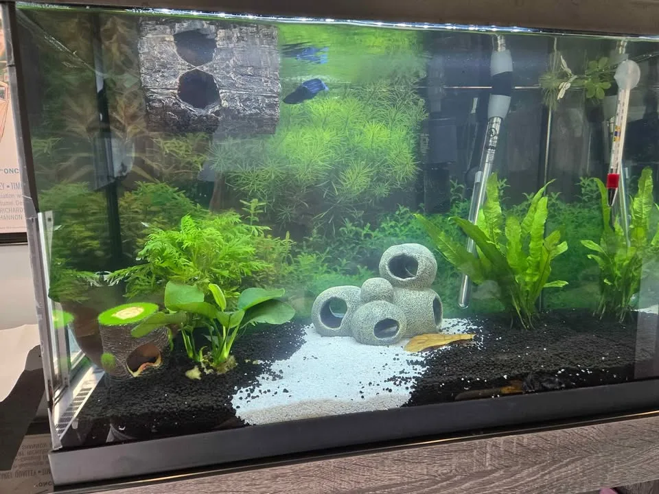 Aquarium + Accessories image indicator(9)