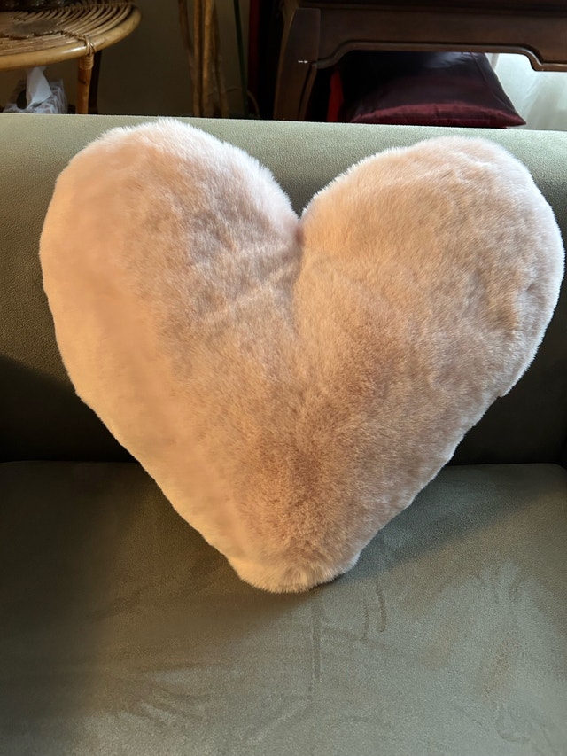 Simon’s Pink Heart Pillow 🏈