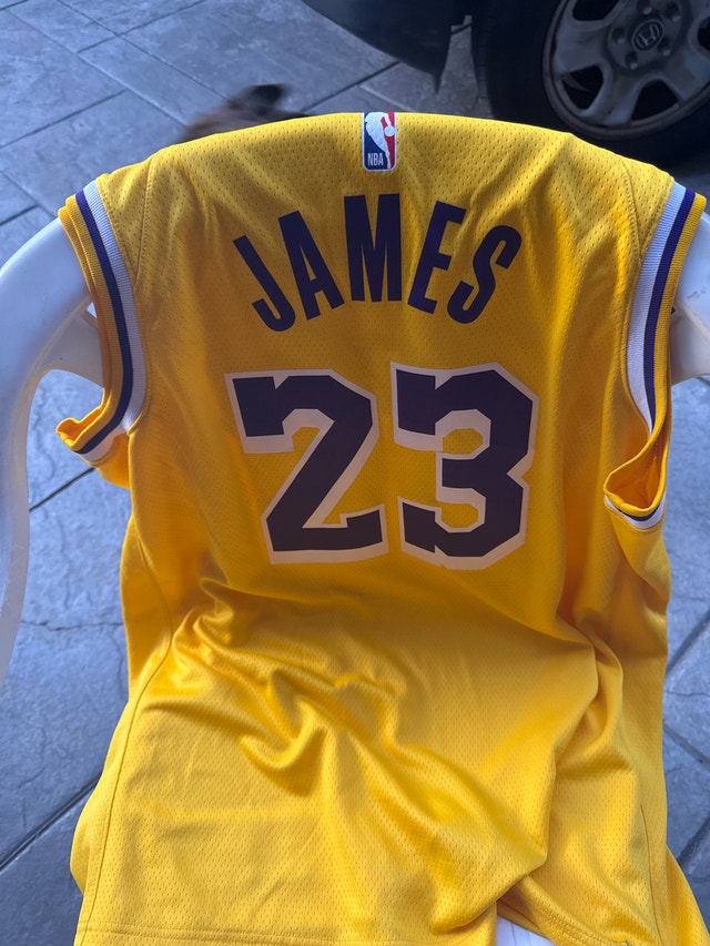 Nike Los Angeles Lakers LeBron James Jersey - photo 2