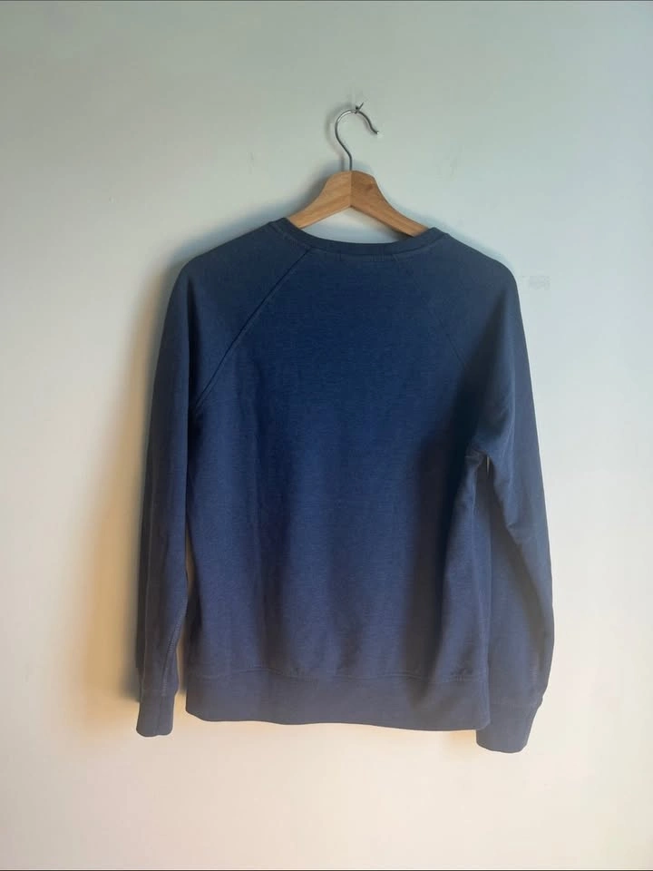 Patagonia Pastel Ahnya Organic Cotton Crewneck Sweatshirt Blue S - photo 4