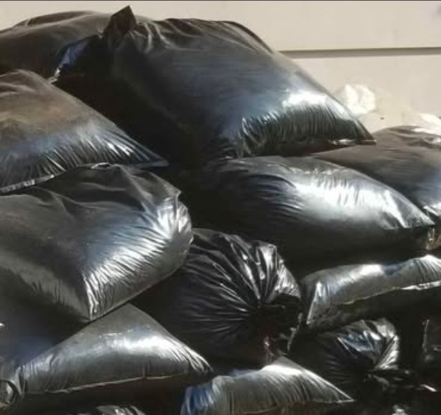 Worm Castings Garden Fertilizer