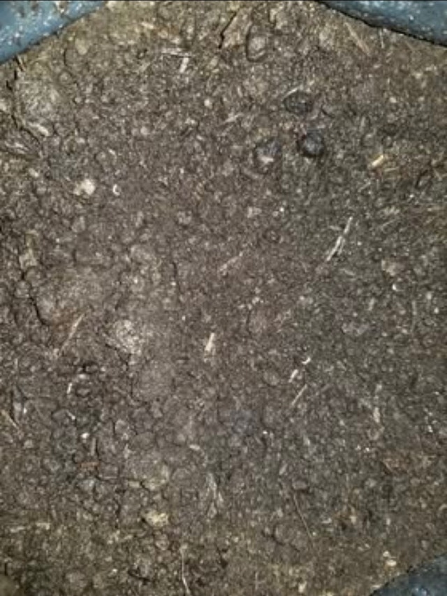 Worm Castings Garden Fertilizer - photo 2