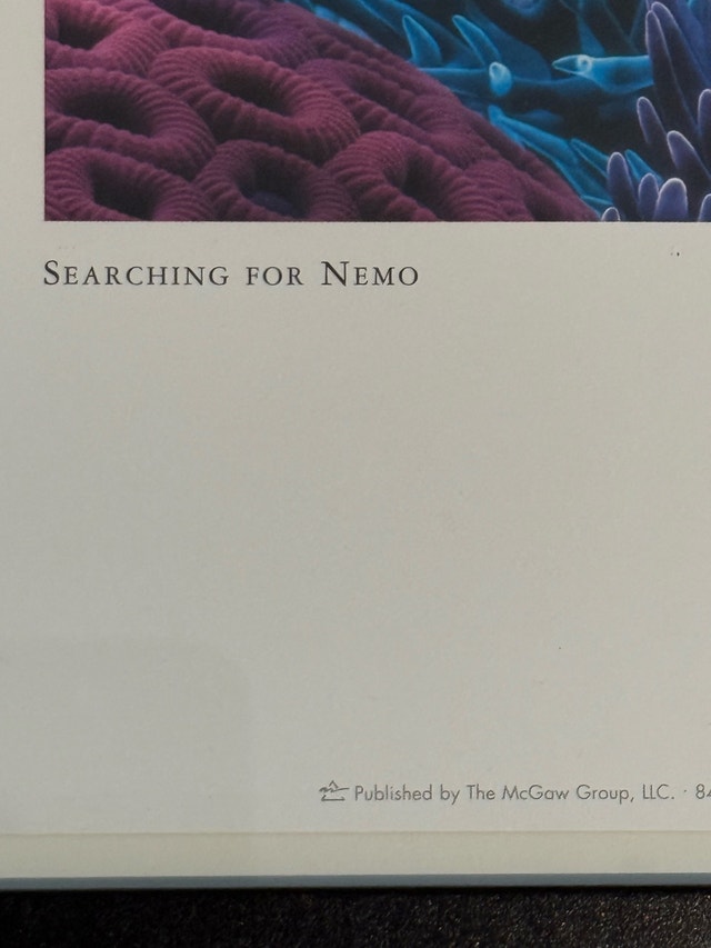 Framed Finding Nemo 'Searching for Nemo' Art Print - photo 4