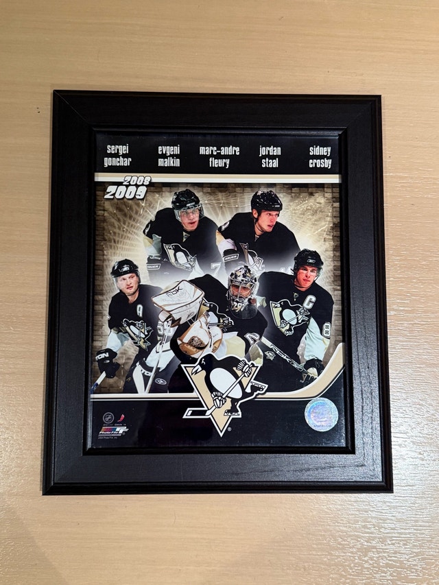 Photo File Pittsburgh Penguins 2008-2009 Framed Print