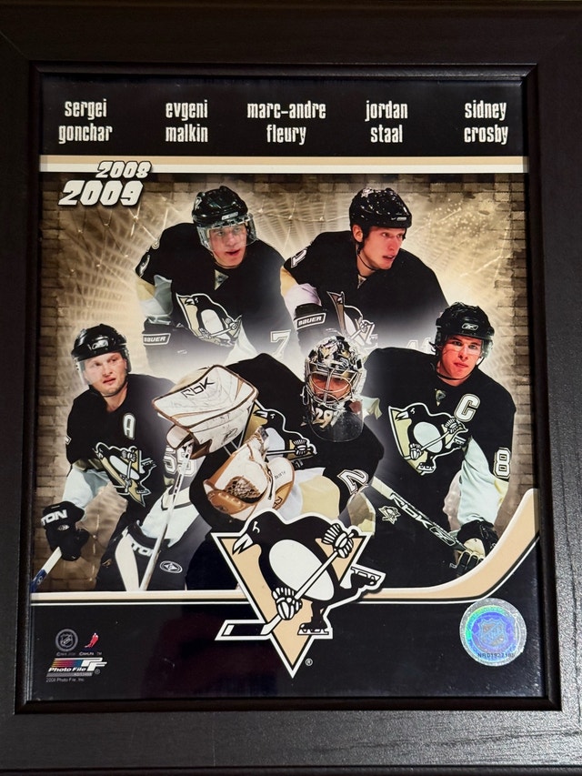 Photo File Pittsburgh Penguins 2008-2009 Framed Print - photo 2