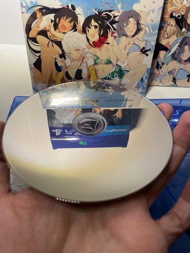 Senran Kagura Estival Versus [Endless Summer Edition] PS4 🏈 - photo 4