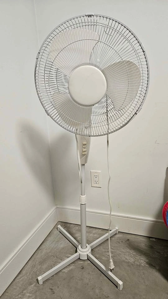 White Pedestal Fan