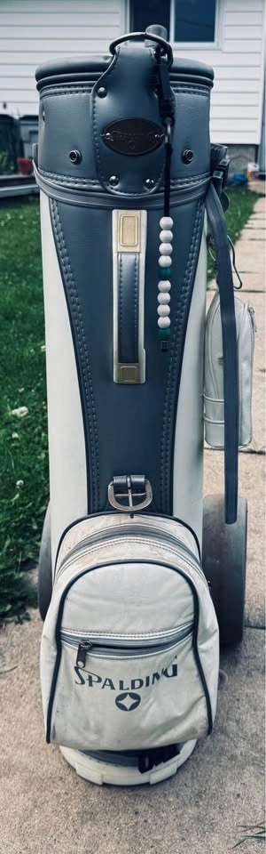 Spalding Golf Bag with Mixed Club Set and Cart - photo 3