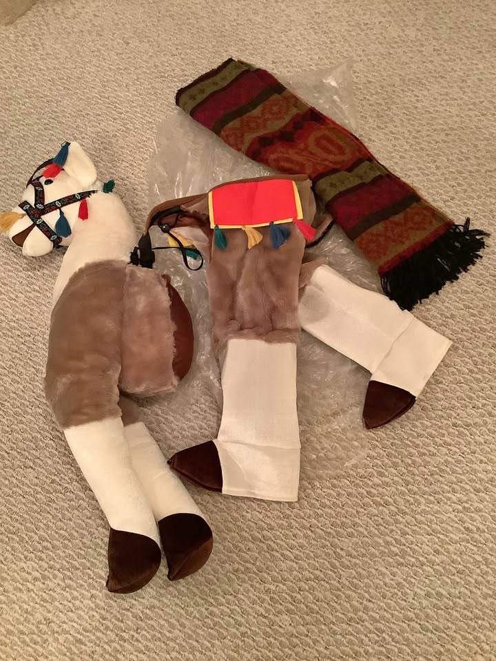 Halloween Costume - Llama and poncho!