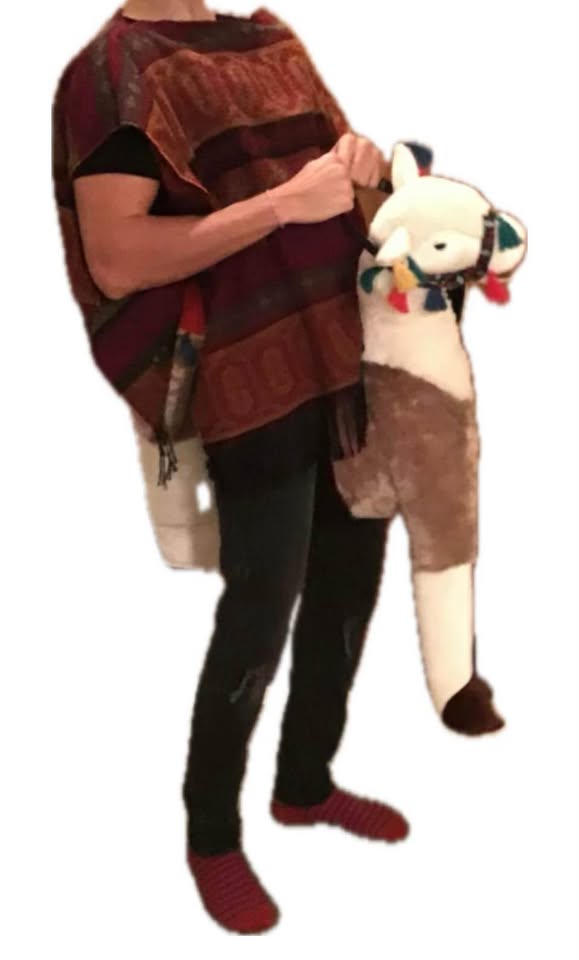 Halloween Costume - Llama and poncho! - photo 2