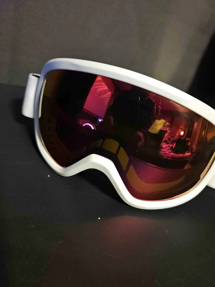 Smith Ski Goggles