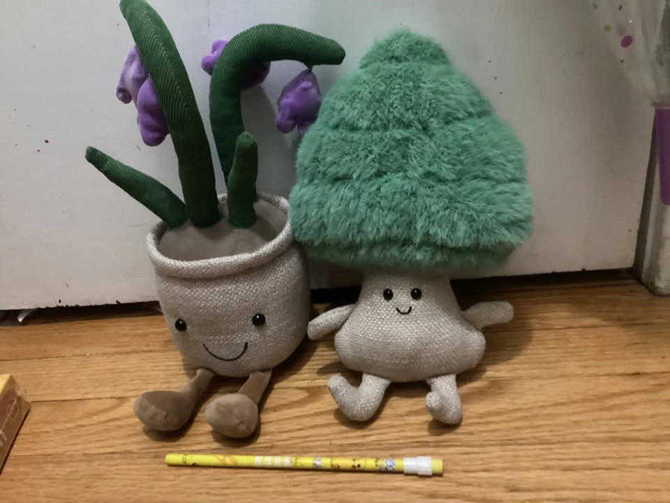🏈Jellycat Amuseable Bluebell and Broccoli Plush Set