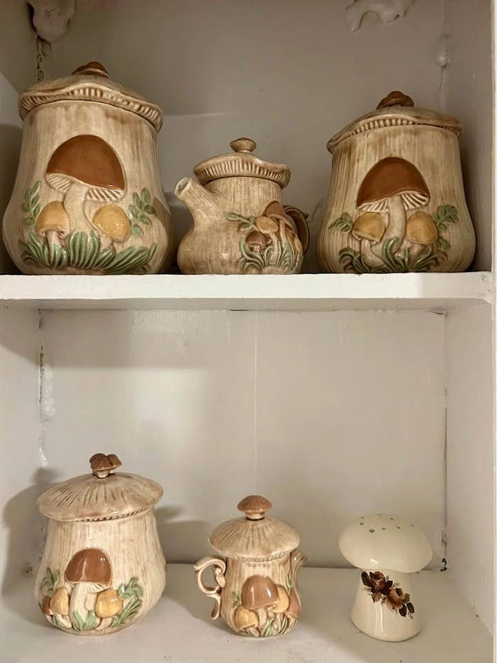 Vintage Ceramic Mushroom Canister and Kitchen Set