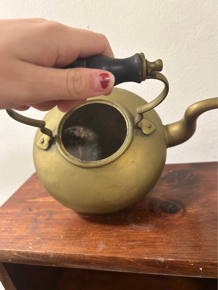 Vintage Brass Tea Kettle with Wooden Handle - photo 4