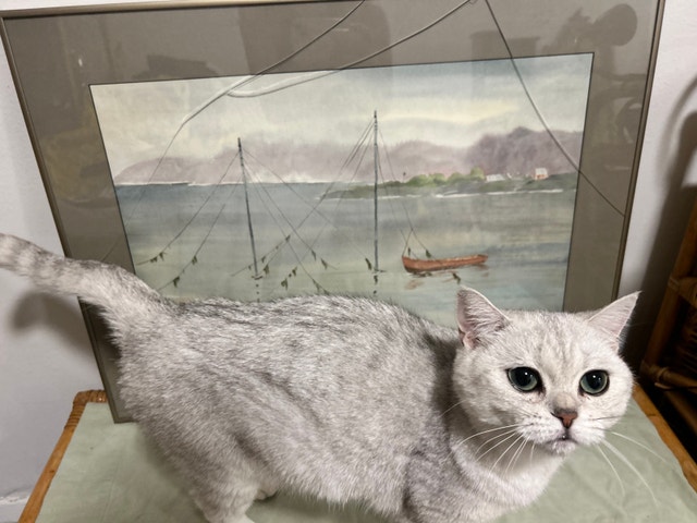 Gaby Verge Watercolor Painting - photo 2