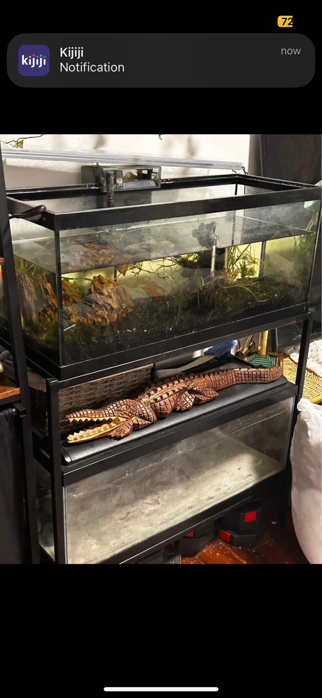 fish tanks with stand & all accessories