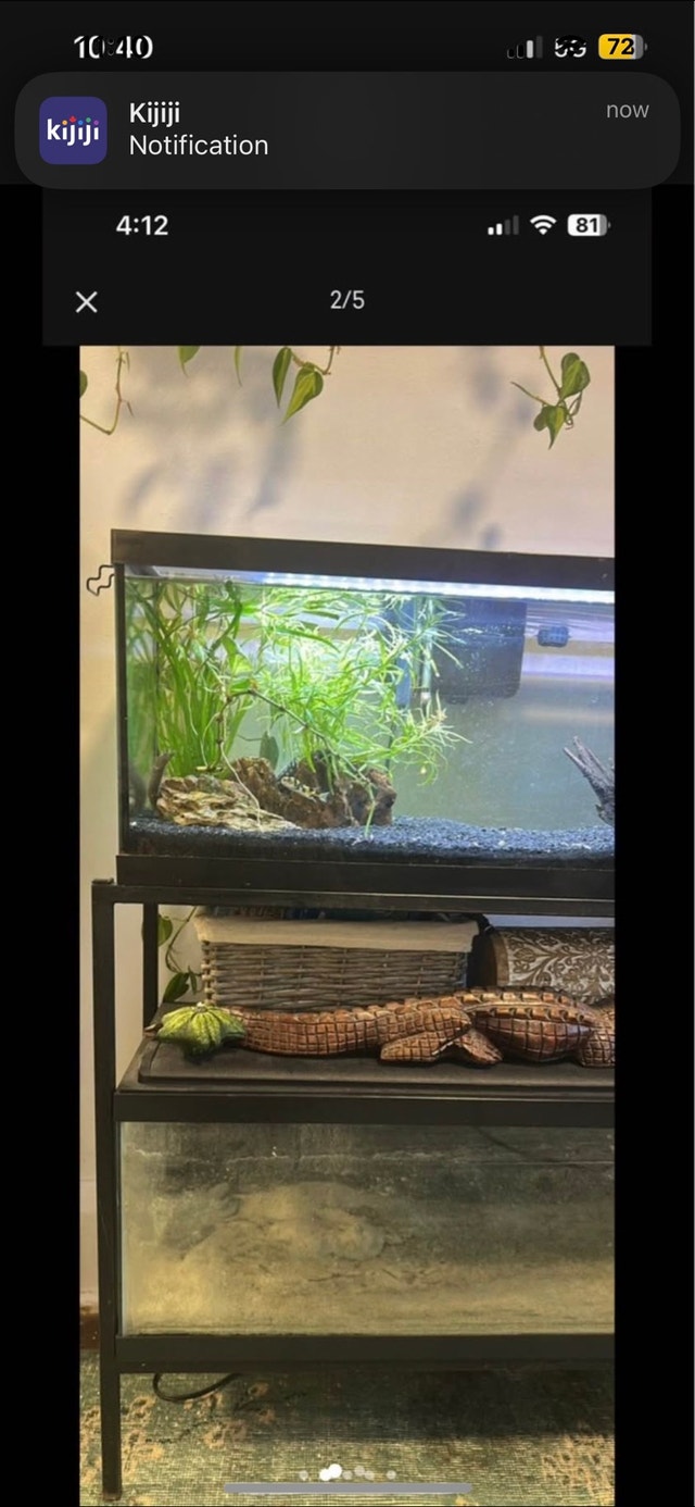 fish tanks with stand & all accessories - photo 2