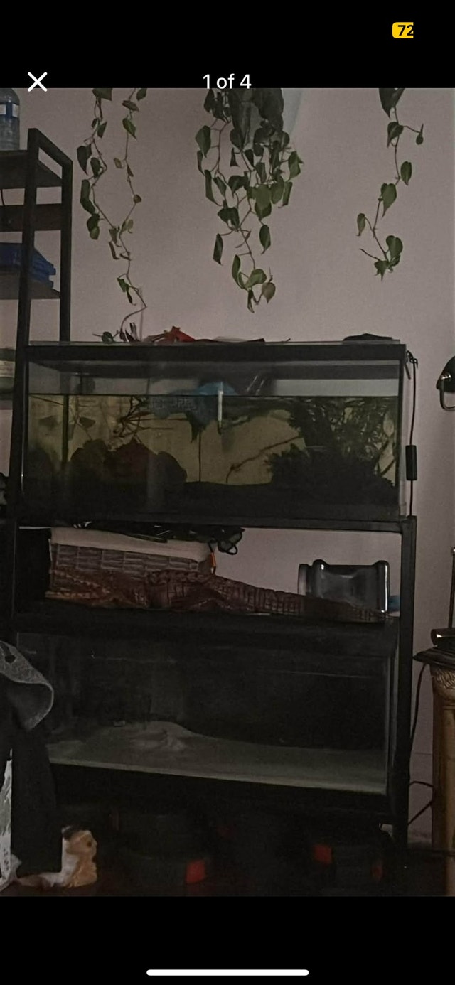 fish tanks with stand & all accessories - photo 3
