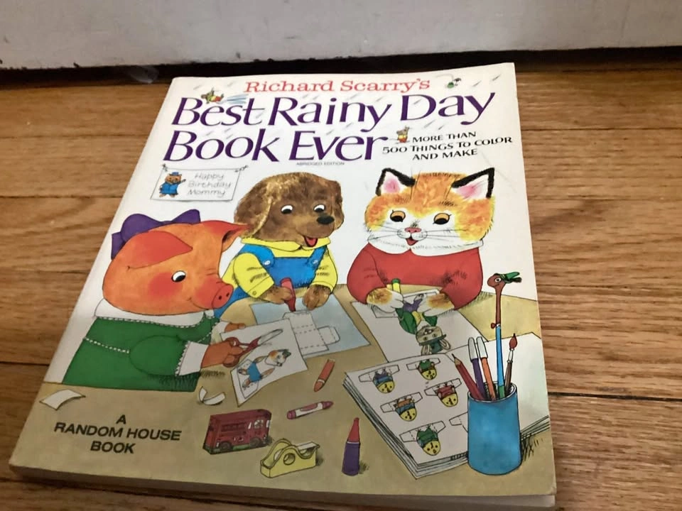 🏈Best Rainy Day Book Ever Retro 🏈