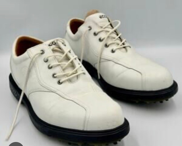Luxury Comfort Ecco Hydromax Golf Shoes