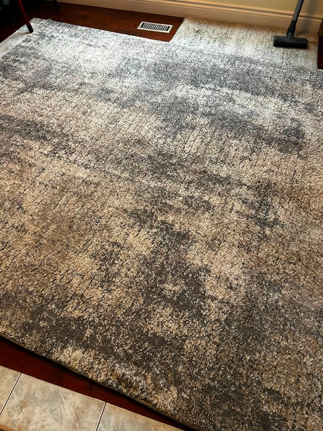 White & Grey Rug (7'10 x 9'10) - photo 5
