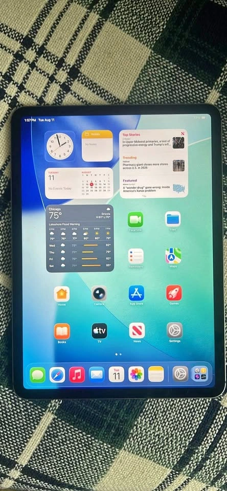iPad Pro 11” 256GB and kids case