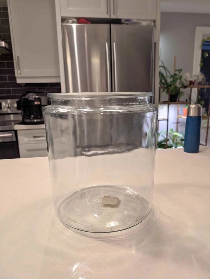 Anchor Hocking 2 Gallon Glass Storage Jar - no lid