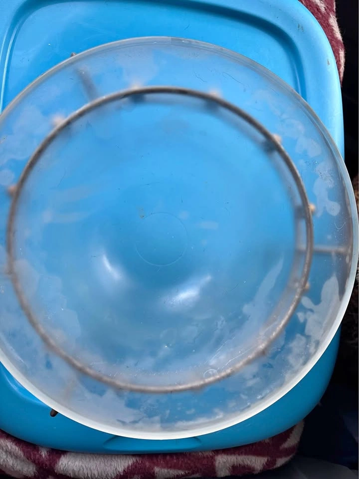 Clear Glass Bowl with Metal Stand