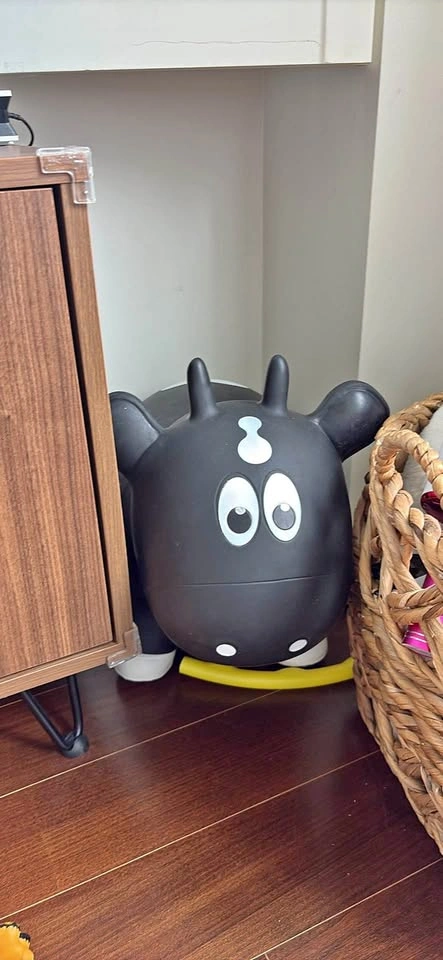 Bouncy cow