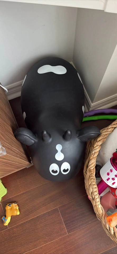 Bouncy cow - photo 2