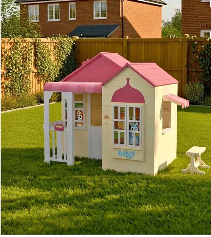 Bluey Playhouse🏈