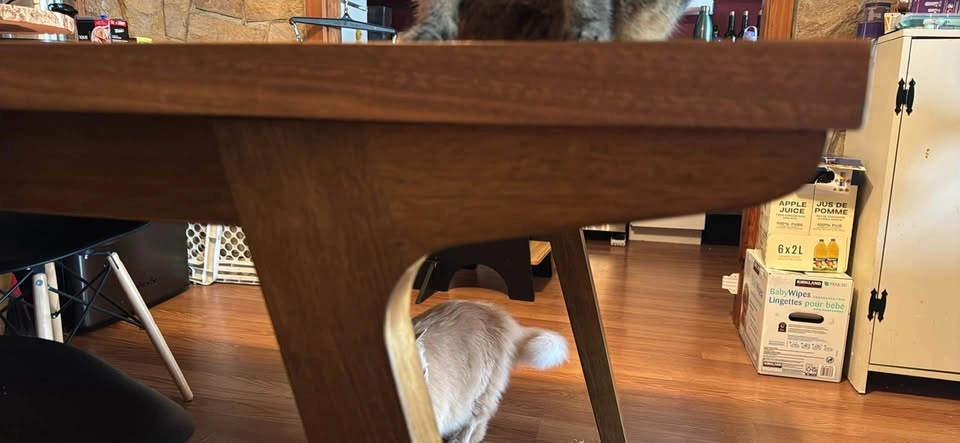 STRUCTUBE dining table - photo 4