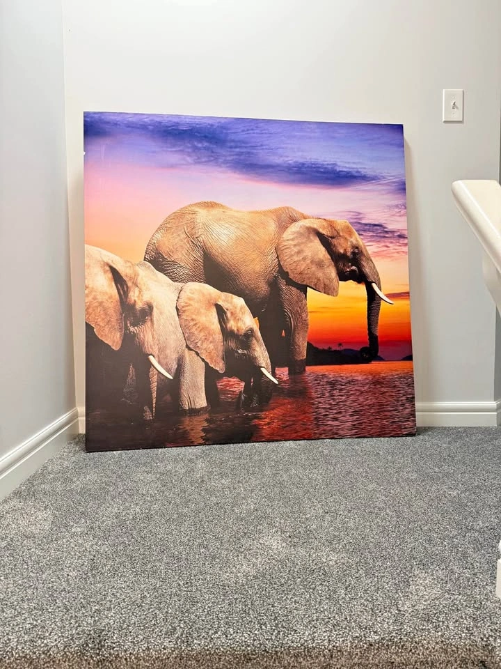 Elephant canvassing picture