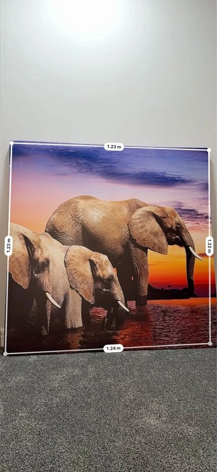 Elephant canvassing picture - photo 2