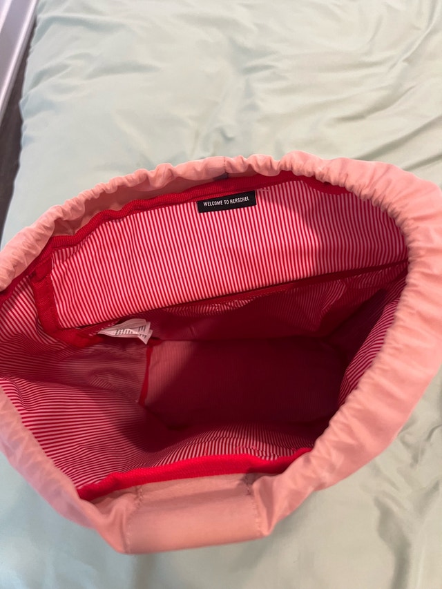 Herschel Pink Backpack - photo 2