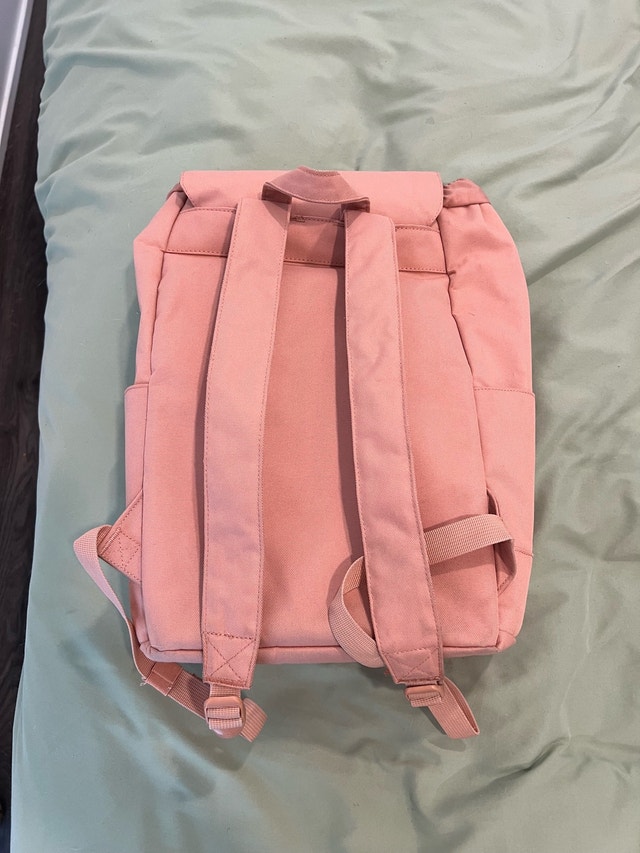 Herschel Pink Backpack - photo 3