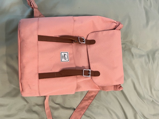 Herschel Pink Backpack - photo 4