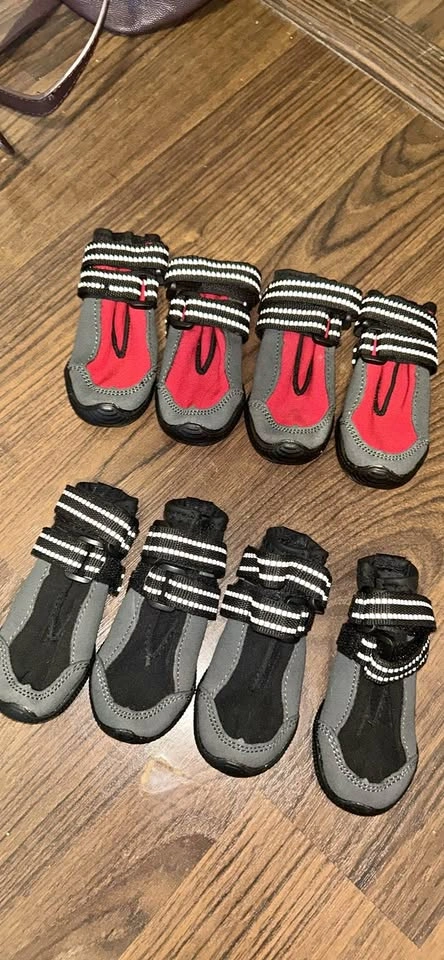 Top Paw Dog Booties