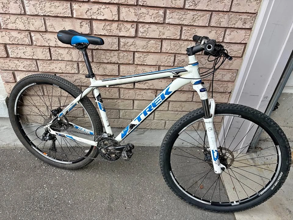 Trek Mamba 29 Large Mountain Bike