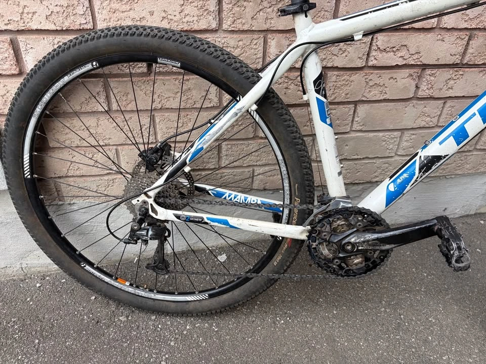 Trek Mamba 29 Large Mountain Bike - photo 3