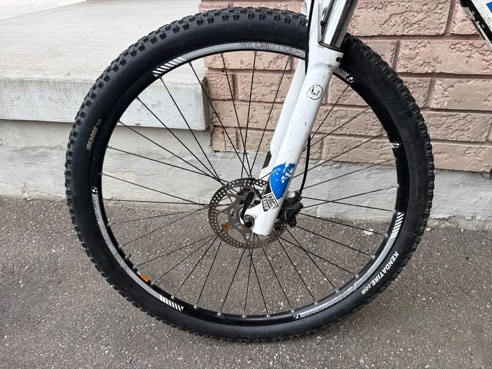 Trek Mamba 29 Large Mountain Bike - photo 5
